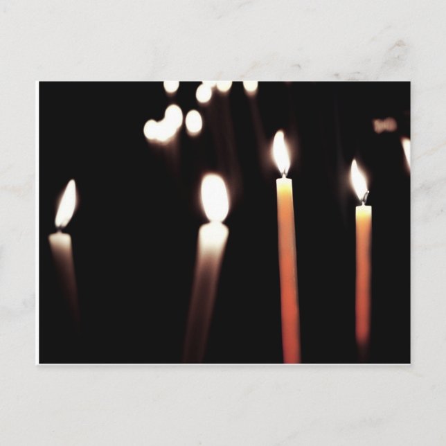 Postalfisch Postkarte (Vorderseite)