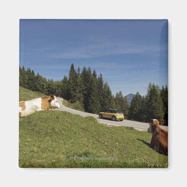 Postalm-Straße, weissenbachtal, Magnet (Vorne)