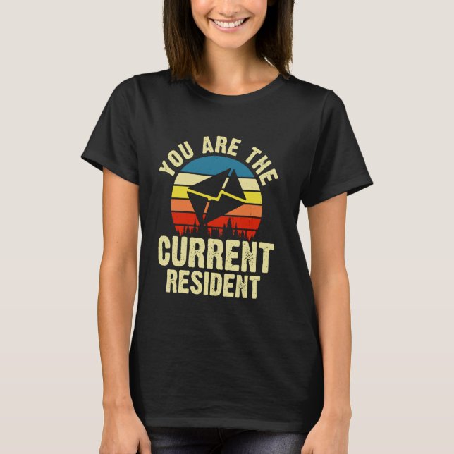 Postarbeiter Sie sind derzeit ansässig T-Shirt (Vorderseite)