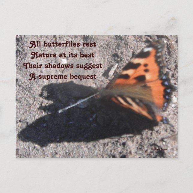 Postcard Alle Schmetterlinge Erholung Gedicht von  Postkarte (Vorderseite)