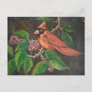 Postcard Ann Hayes Painting Kardinal Postkarte