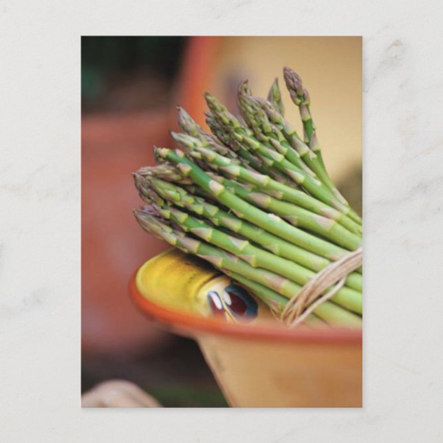 POSTCARD ASPARAGUS POSTKARTE (Vorderseite)
