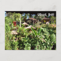 Postcard Bali Indonesia Tropische Pflanze Grass Hu