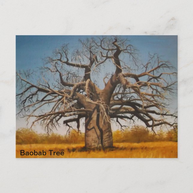 Postcard Baobab Tree Postkarte (Vorderseite)