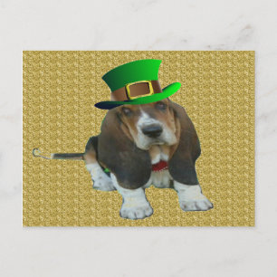 Postcard Basset Hound Happy StPatrick's Day Postkarte