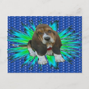 Postcard Basset Hound Sheldon Postkarte