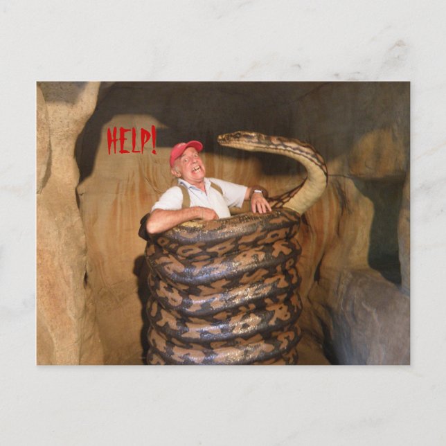 Postcard Big Snake QLD Australien Postkarte (Vorderseite)