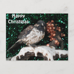Postcard Bird Winter Szene Feiertagspostkarte
