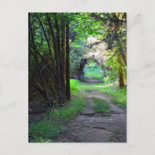 Postcard Blue Trail at Claude Moore Park Postkarte