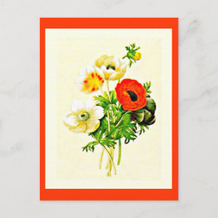 Postcard-Botanicals-Pierre Joseph Redoute 24 Postkarte