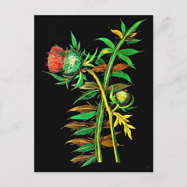 Postcard-Botanische Kunst-Mary-Delany 6 Postkarte (Vorderseite)