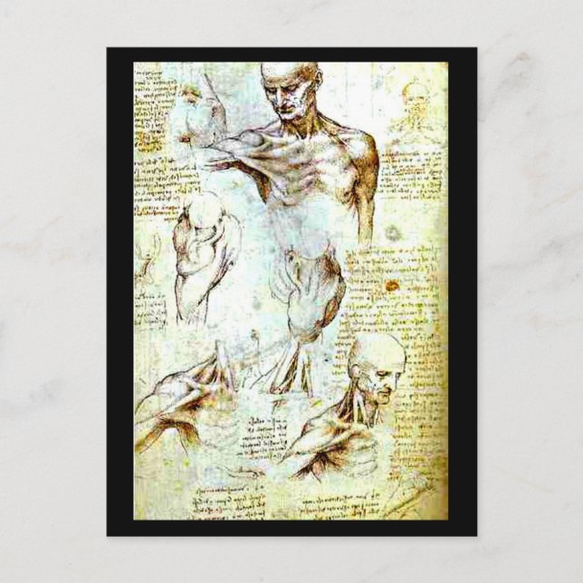 Postcard-Classic/Vintag-Leonardo da Vinci 13 Postkarte (Vorderseite)