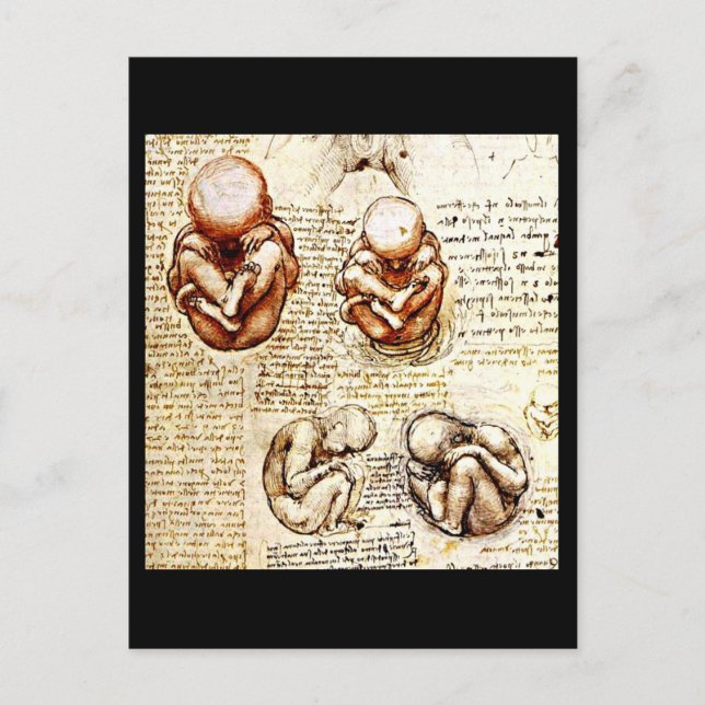 Postcard-Classic/Vintag-Leonardo da Vinci 9 Postkarte (Vorderseite)