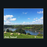 Postcard Cork, Irland Postkarte<br><div class="desc">Die typisch irische Landschaft,  die durch eine Legenurkunde auf einer Postkarte verewigt wurde. Es zeigt,  wofür Irland bekannt ist.. grüne Felder,  blauer Himmel mit Wolken und Schafen.</div>