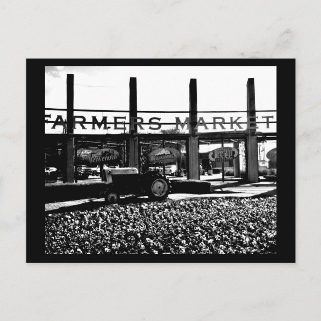 Postcard-Dallas Fotografie-12 Postkarte (Vorderseite)