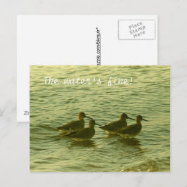 Postcard - Das Wasser ist gut! Postkarte
