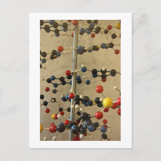 Postcard DNA Modell Postkarte (Vorderseite)