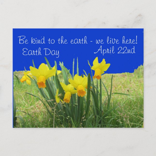 Postcard - Earth Day Daffodis Postkarte (Vorderseite)