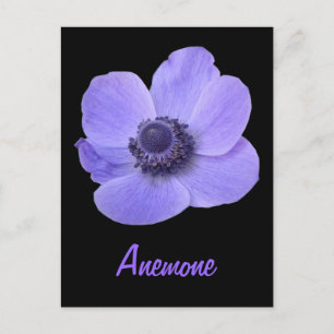 Postcard für die individuell anpassbare Blue Anemo Postkarte