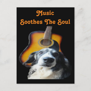 Postcard Guitar Dog Postkarte