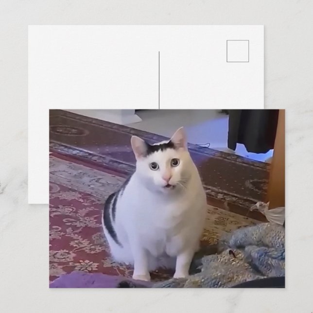 Postcard Huh Cat Meme Postkarte (Vorne/Hinten)