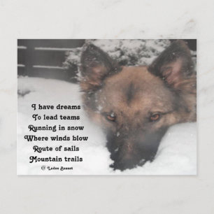 Postcard Ich habe Träume Gedicht von Ladee Basset Postkarte