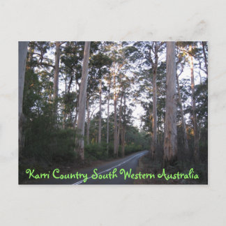 POSTCARD - Karri Country South Western Australien Postkarte