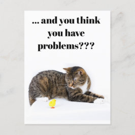 Postcard Katze schaut "Küken" an schwarzer Spaß Postkarte