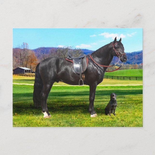 Postcard "King Richard" Postkarte (Vorderseite)