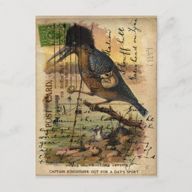 Postcard Kingfisher Postkarte (Vorderseite)