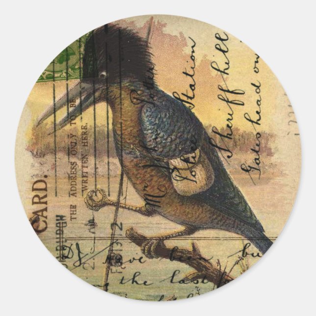 Postcard Kingfisher Runder Aufkleber (Vorderseite)