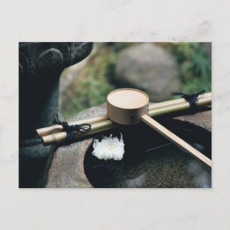 Postcard - leise Meinung Postkarte