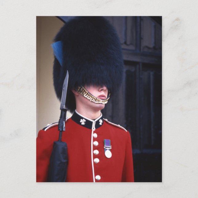 Postcard London Palace Guard Postkarte (Vorderseite)