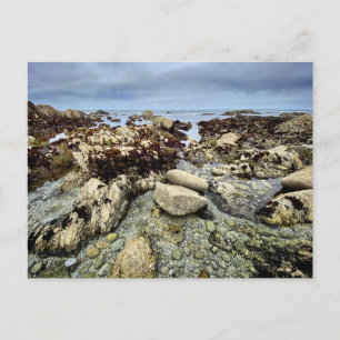 Postcard - Monterey, Kalifornien Postkarte