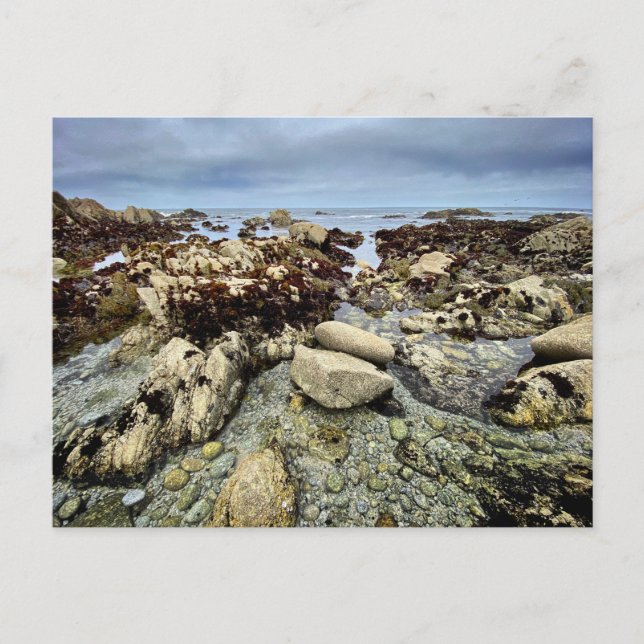 Postcard - Monterey, Kalifornien Postkarte (Vorderseite)