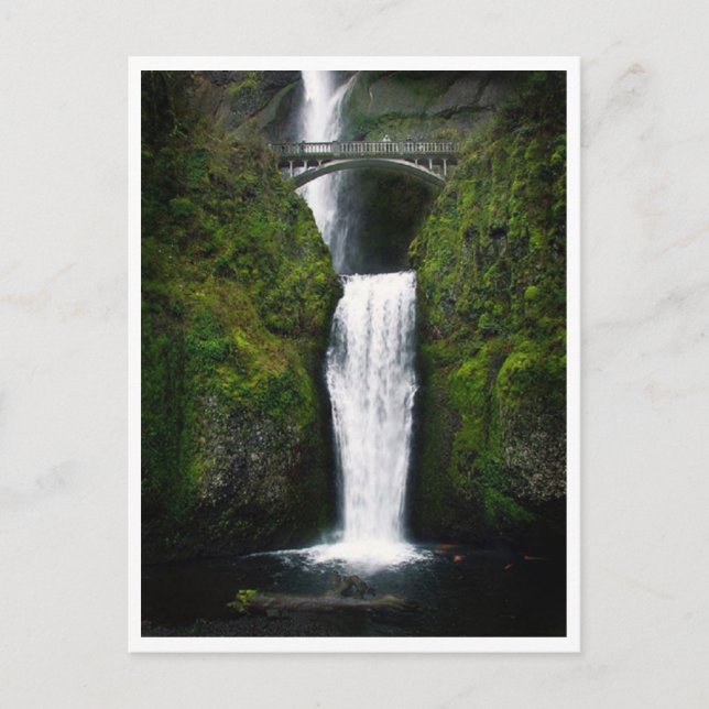 Postcard-Multnomah Falls, Oregon Postkarte (Vorderseite)