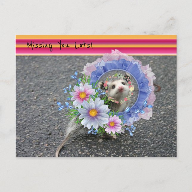 Postcard Opossum Blumenstreifen Vermissten Sie vie Postkarte (Vorderseite)