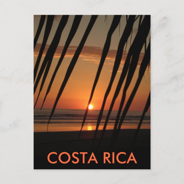 Postcard Palm Sunset, COSTA RICA Postkarte (Vorderseite)