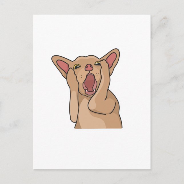 Postcard Postkarte (Vorderseite)