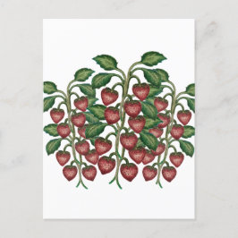 Postcard Postkarte