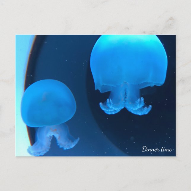 Postcard Postkarte (Vorderseite)