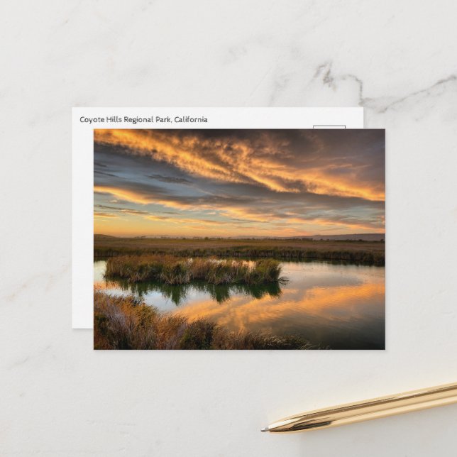 Postcard - Regionalpark Coyote Hills, Kalifornien Postkarte (Vorderseite/Rückseite Beispiel)
