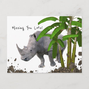 Postcard Rhinoceros Vermisst Sie viel! Postkarte