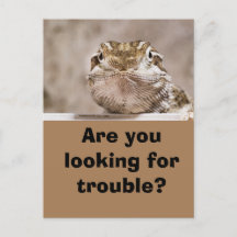 Postcard Spaß Eschaut herausfordernd hervor