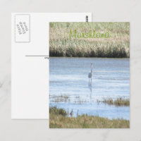Postcard - stehend stolz