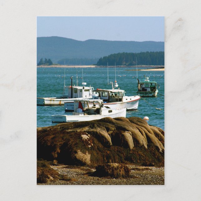 Postcard Stonington, Maine Postkarte (Vorderseite)