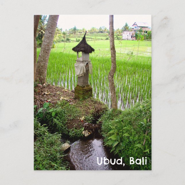 Postcard Ubud Bali Indonesien Reisfeld Temple Postkarte (Vorderseite)