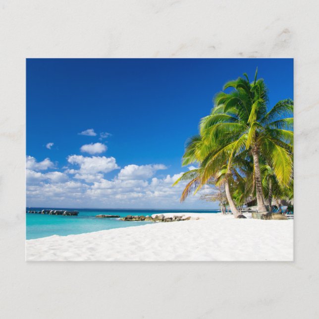 Postcard - Under the Tropical Sun. Postkarte (Vorderseite)