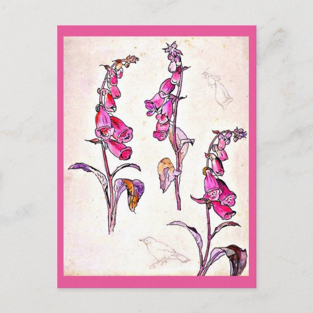 Postcard-Vintag Illustration-Beatrix Potter 13 Postkarte (Vorderseite)