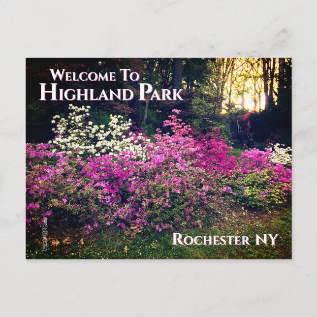Postcard - Willkommen im Highland Park Rochester N Postkarte (Vorderseite)